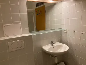 Prodej bytu 2+kk, Benešov, Dukelská, 70 m2