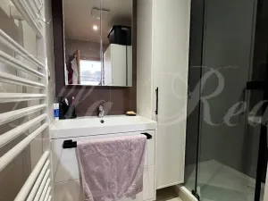 Pronájem bytu 1+kk, Brno - Medlánky, Palackého třída, 33 m2