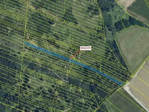 Dražba lesa, Nová Hradečná, 6275 m2