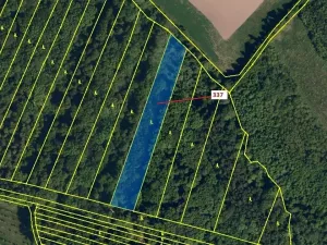 Dražba lesa, Hradčany-Kobeřice, 5963 m2