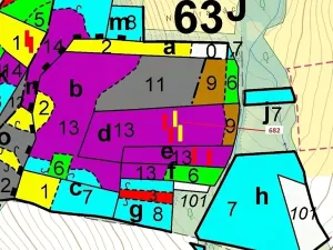 Dražba lesa, Kuřimany, 11584 m2