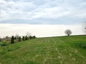 Prodej pozemku pro bydlení, Borkovany, 1606 m2