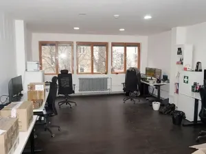 Pronájem obchodního prostoru, Praha - Holešovice, Dobrovského, 362 m2