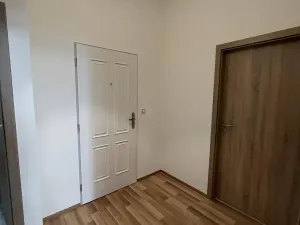 Pronájem bytu 1+kk, České Budějovice, Kostelní, 43 m2