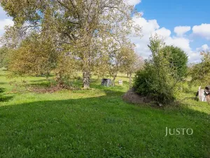 Prodej pozemku pro bydlení, Těmice, 2331 m2