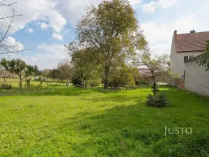 Prodej pozemku pro bydlení, Těmice, 2331 m2