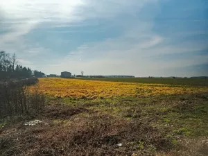 Prodej pozemku pro bydlení, Chudeřice, 1000 m2