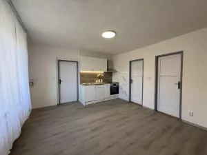 Pronájem rodinného domu, Čebín, 201 m2