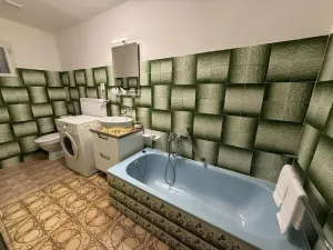 Pronájem rodinného domu, Čebín, 201 m2