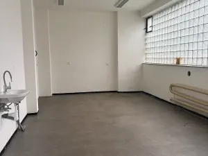 Pronájem skladu, Brno, Hněvkovského, 37 m2