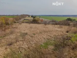 Prodej pozemku, Jiřice u Miroslavi, 6663 m2