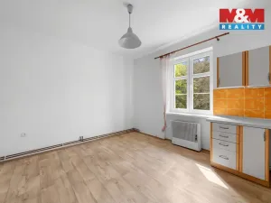 Pronájem bytu 1+kk, Děčín - Děčín I-Děčín, Zámecká, 19 m2
