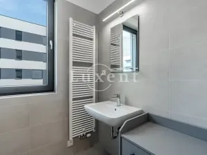 Pronájem bytu 3+kk, Praha - Žižkov, Olgy Havlové, 73 m2