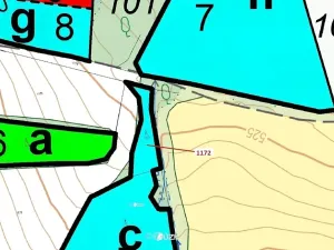 Dražba lesa, Kuřimany, 875 m2