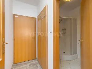 Pronájem bytu 2+kk, Blovice, Americká, 40 m2