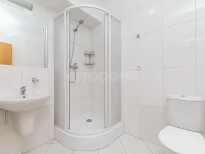 Pronájem bytu 2+kk, Blovice, Americká, 40 m2