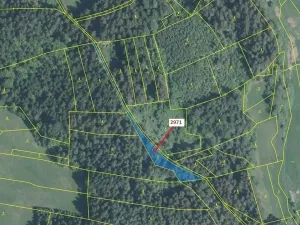 Dražba lesa, Lačnov, 1723 m2