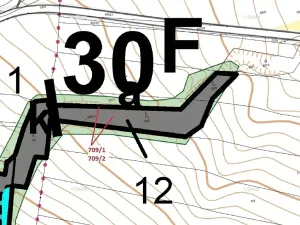 Dražba lesa, Osek, 1823 m2