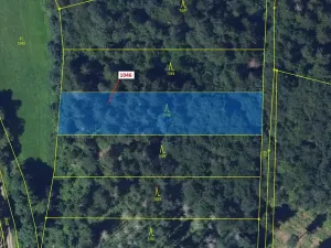 Dražba lesa, Vír, 2432 m2