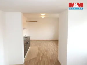 Pronájem bytu 1+kk, Beroun - Beroun-Centrum, Palackého, 38 m2