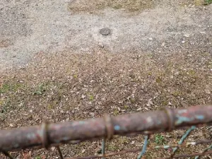 Prodej rodinného domu, Chlístovice, 80 m2