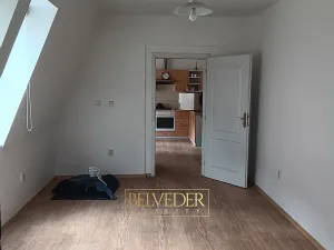 Pronájem bytu 1+1, Teplice, Masarykova třída, 45 m2