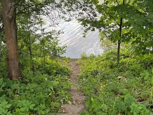 Prodej rodinného domu, Hrusice, K Penzionu, 360 m2