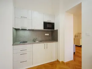 Pronájem bytu 2+kk, Praha - Staré Město, Kozí, 125 m2