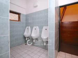 Prodej rodinného domu, Čelákovice, Masarykova, 450 m2