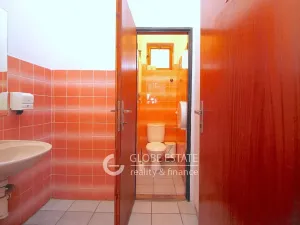 Prodej rodinného domu, Čelákovice, Masarykova, 450 m2