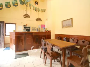 Prodej rodinného domu, Čelákovice, Masarykova, 450 m2