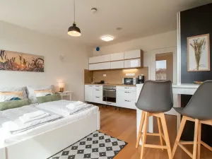 Pronájem bytu 1+kk, Praha - Vinohrady, Perucká, 25 m2