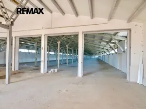 Prodej výrobních prostor, Dolní Chvatliny, 3690 m2