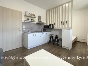 Pronájem bytu 1+kk, Pardubice, Na Okrouhlíku, 27 m2