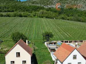 Prodej rodinného domu, Pavlov, Vinařská, 247 m2