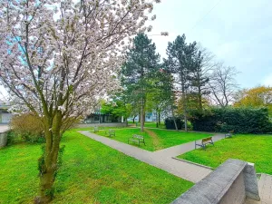 Prodej bytu 3+1, Uherské Hradiště, Na Rybníku, 79 m2