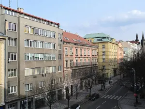 Pronájem bytu 4+kk, Praha - Vinohrady, Londýnská, 96 m2