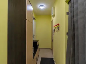 Prodej bytu 2+1, Brno, Foerstrova, 54 m2