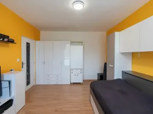 Prodej bytu 2+1, Brno, Foerstrova, 54 m2