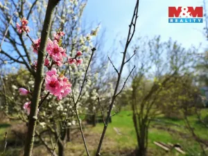 Prodej zahrady, Čáslav, 270 m2