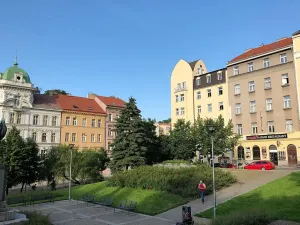 Pronájem bytu 1+kk, Praha - Žižkov, Prokopova, 46 m2