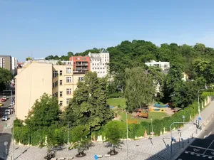 Pronájem bytu 1+kk, Praha - Žižkov, Prokopova, 46 m2