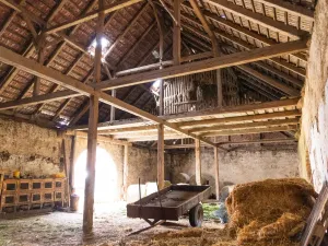 Prodej komerční, Potštejn - Brná, 23296 m2