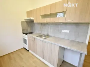 Pronájem bytu 3+1, Brno, Jílová, 55 m2