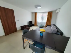 Prodej vícegeneračního domu, Pasohlávky, 320 m2