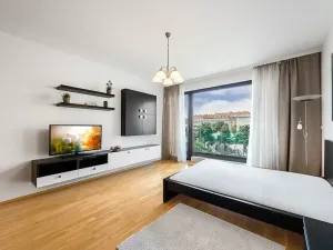Pronájem bytu 1+kk, Praha - Vinohrady, Korunní, 47 m2