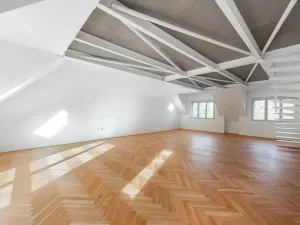 Prodej bytu 5+kk, Praha - Střešovice, Pod bateriemi, 193 m2