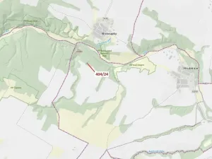 Dražba lesa, Ivančice, 741 m2