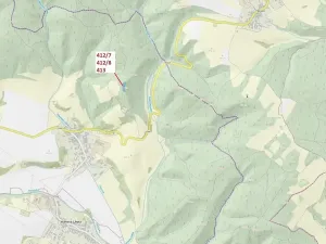 Dražba lesa, Vranová Lhota, 3744 m2