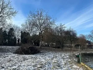 Prodej pozemku pro bydlení, Chotilsko, 2807 m2